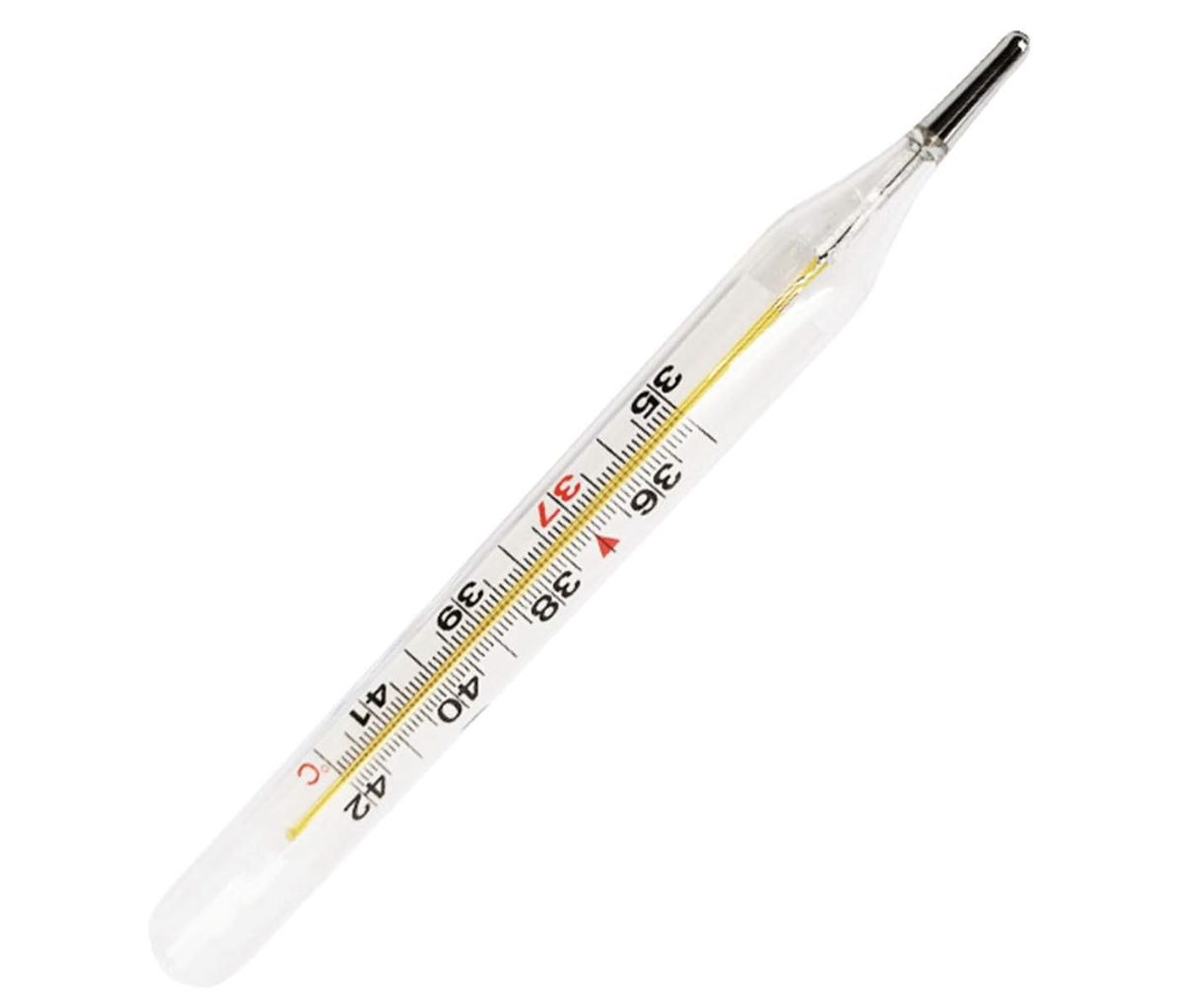 Rektalrandale - 08.12.2025